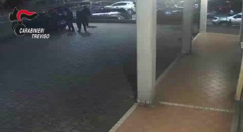 Treviso, esplosivo al bancomat e lo sportello salta per aria: 11 arresti
