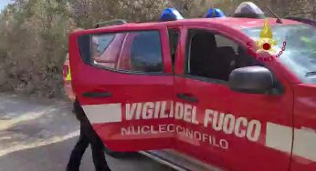 Scomparsa la figlia del “superpoliziotto” Pippo Micalizio: ricerche nell’isola d’Elba