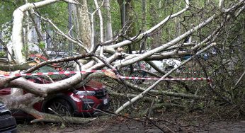 Maltempo a Milano, albero crolla su auto